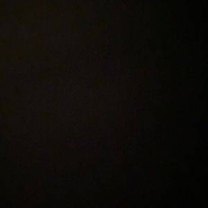 Meet your Posher, Bee